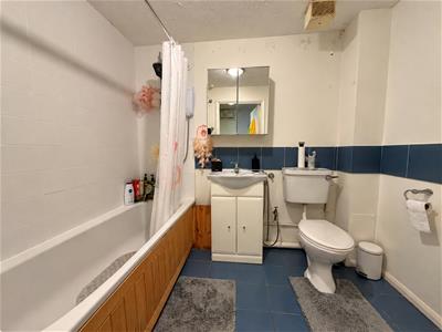 Picture 5